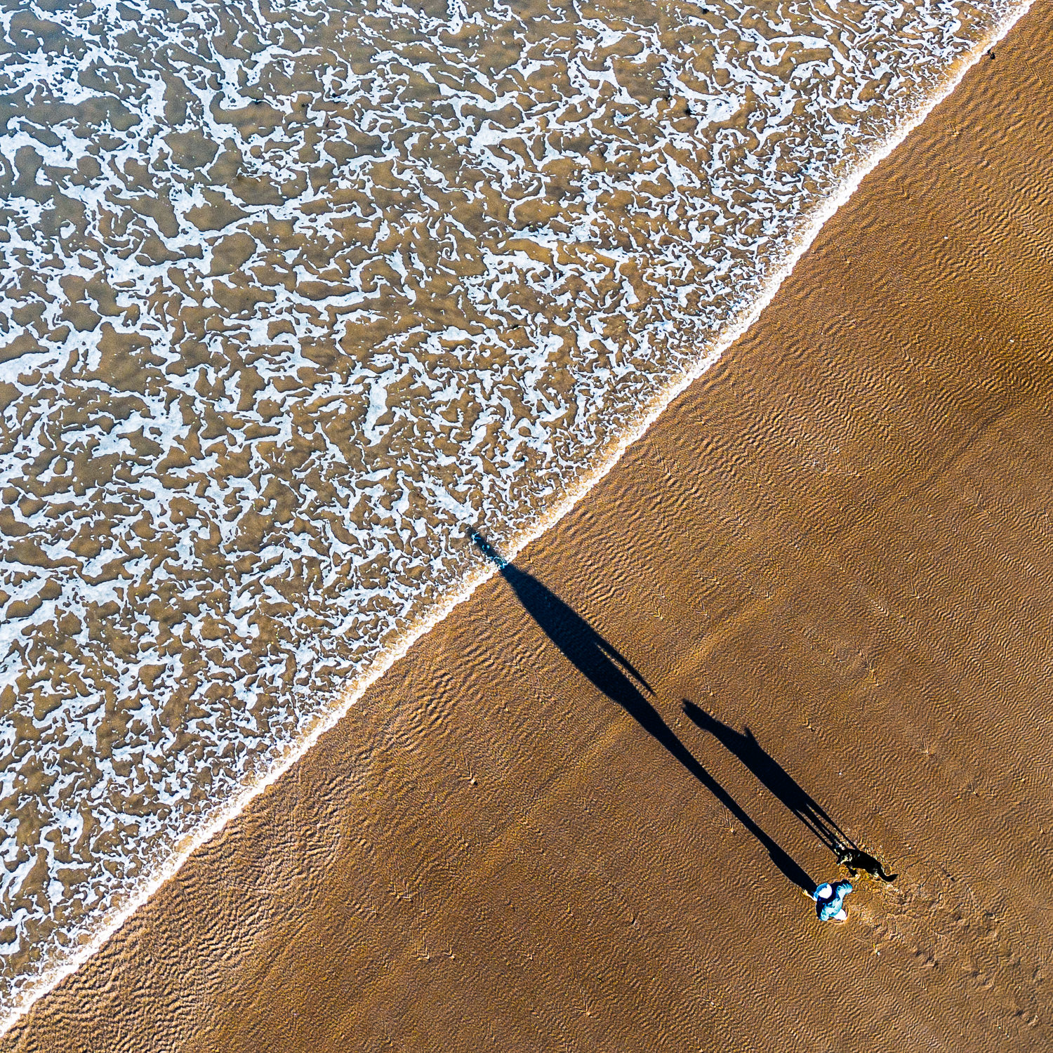 Dog walker on Belhaven beach