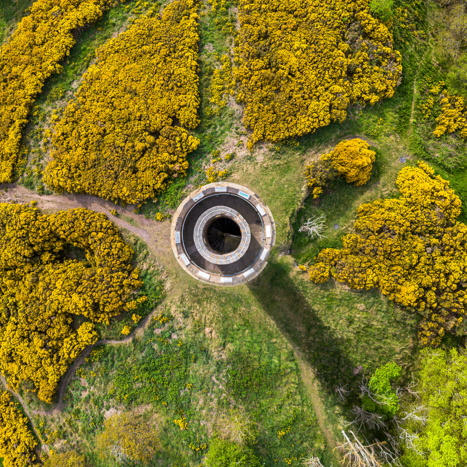 The Hopetoun Monument near Haddington