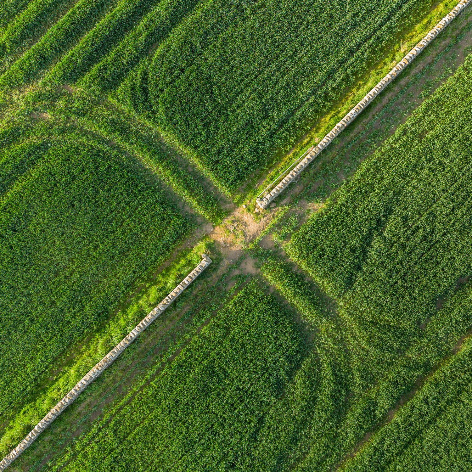 A gap in a stone wall and vehicle tracks passing through.