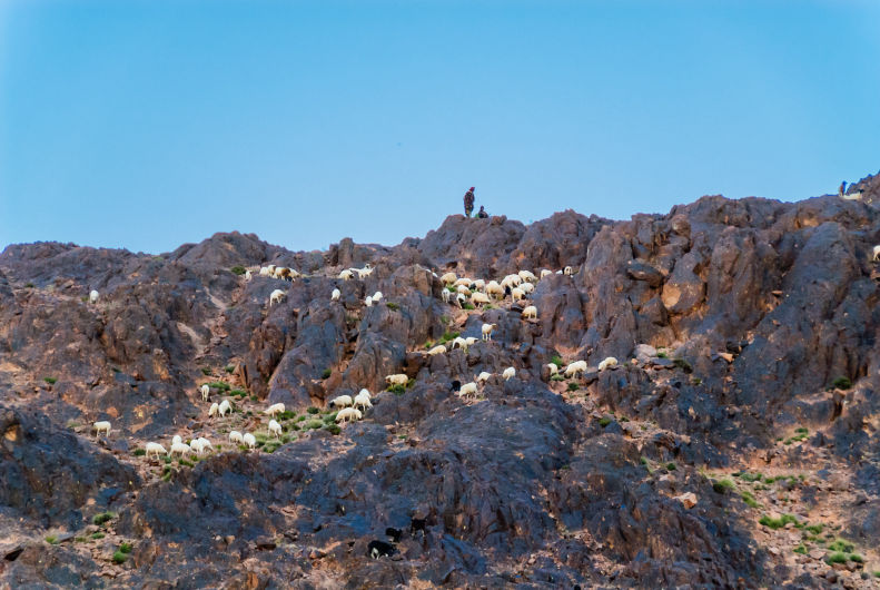The Ait Atta Nomads of Morocco